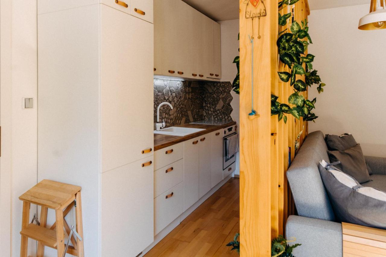 Apartman V Srdci Znojma „Jako Doma“ Znojmo Exterior photo